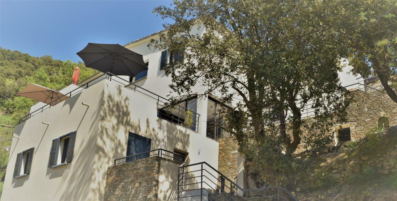A Casa Di Campa Villa Oletta  Exterior photo